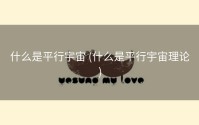 什么是平行宇宙 (什么是平行宇宙理论)