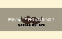 智慧泊车：平行停车辅助的魔法