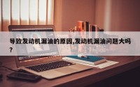 导致发动机漏油的原因,发动机漏油问题大吗?
