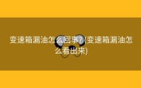 变速箱漏油怎么回事? (变速箱漏油怎么看出来)