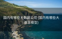 国内有哪些大数据公司 (国内有哪些大语言模型)