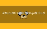 买车vps是什么项目 (买车vps是什么的费用)