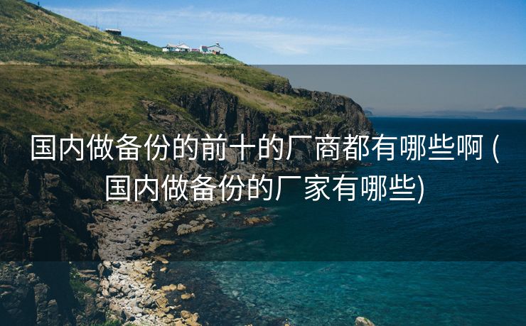 国内做备份的前十的厂商都有哪些啊 (国内做备份的厂家有哪些)