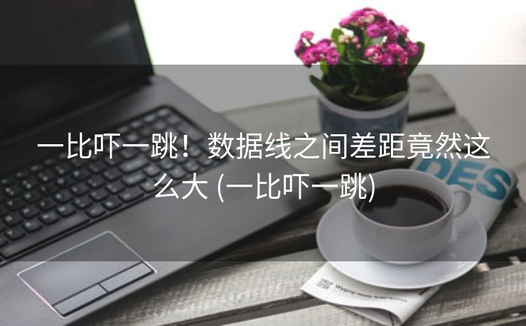 一比吓一跳！数据线之间差距竟然这么大 (一比吓一跳)