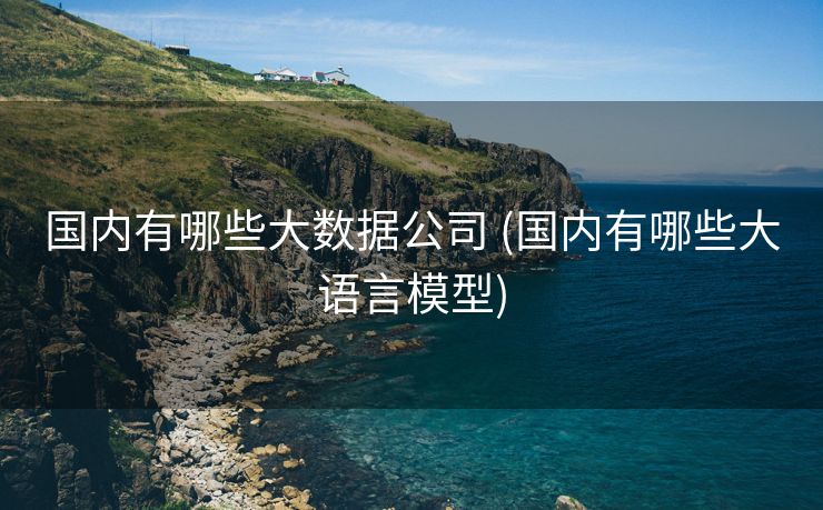 国内有哪些大数据公司 (国内有哪些大语言模型)