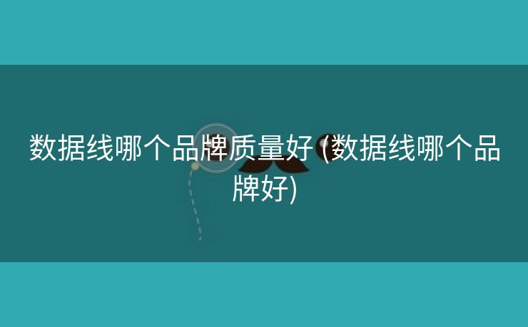 数据线哪个品牌质量好 (数据线哪个品牌好)