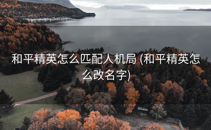 和平精英怎么匹配人机局 (和平精英怎么改名字)