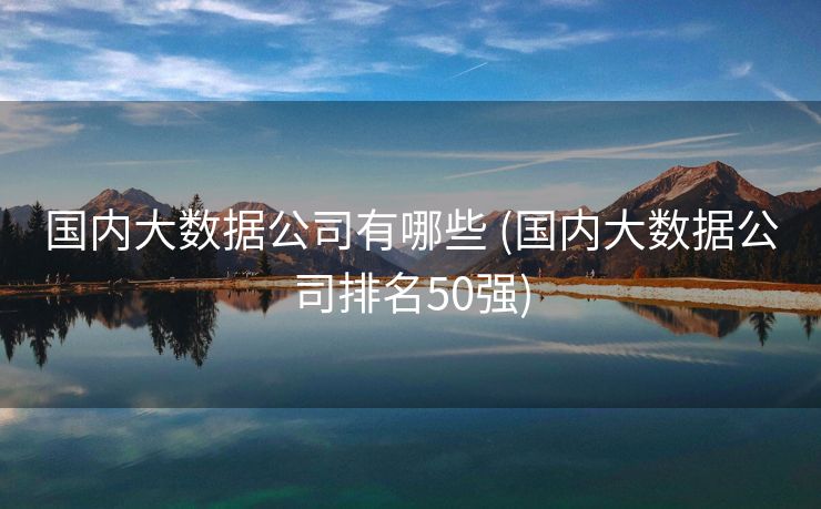 国内大数据公司有哪些 (国内大数据公司排名50强)