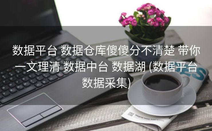 数据平台 数据仓库傻傻分不清楚 带你一文理清 数据中台 数据湖 (数据平台数据采集)