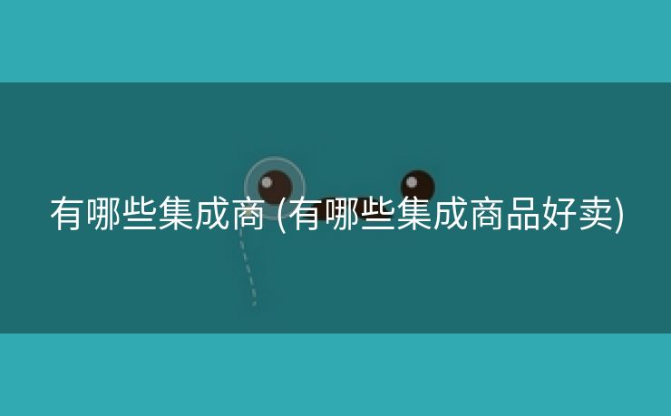 有哪些集成商 (有哪些集成商品好卖)