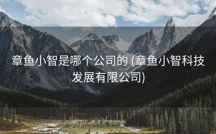 章鱼小智是哪个公司的 (章鱼小智科技发展有限公司)