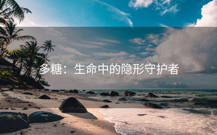 多糖：生命中的隐形守护者