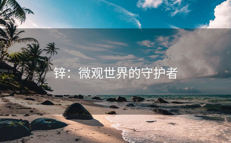 锌：微观世界的守护者