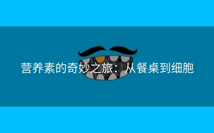 营养素的奇妙之旅：从餐桌到细胞