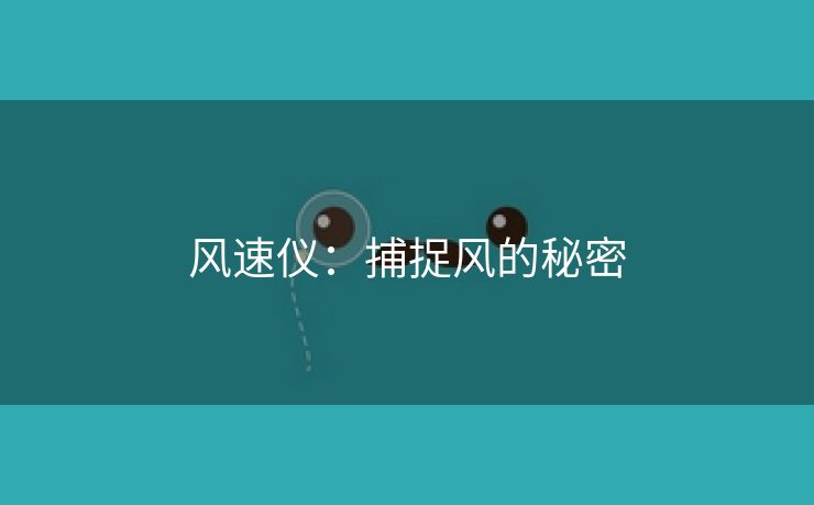 风速仪：捕捉风的秘密
