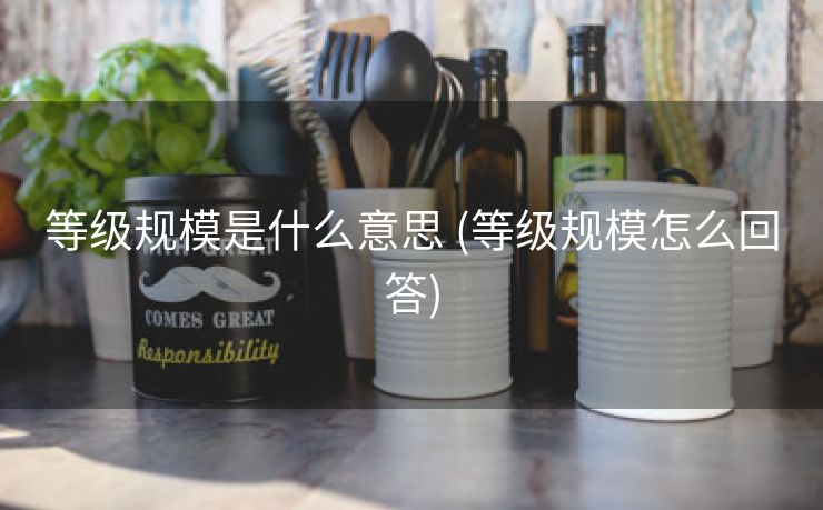 等级规模是什么意思 (等级规模怎么回答)