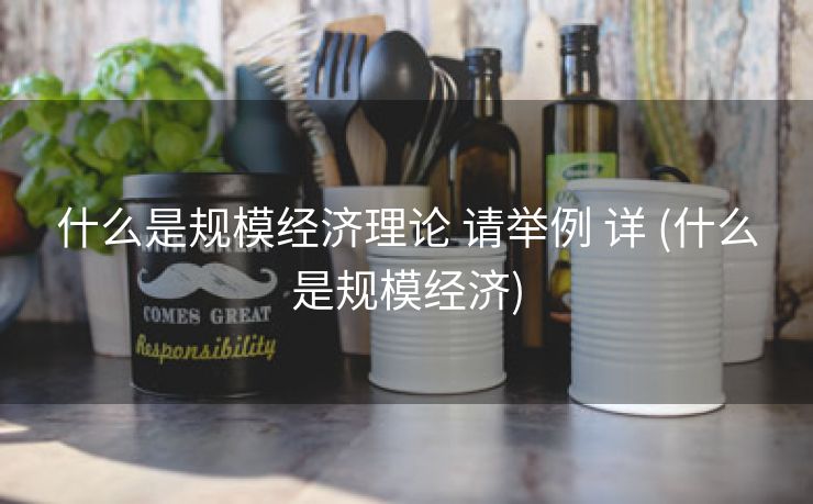 什么是规模经济理论 请举例 详 (什么是规模经济)