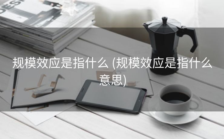 规模效应是指什么 (规模效应是指什么意思)