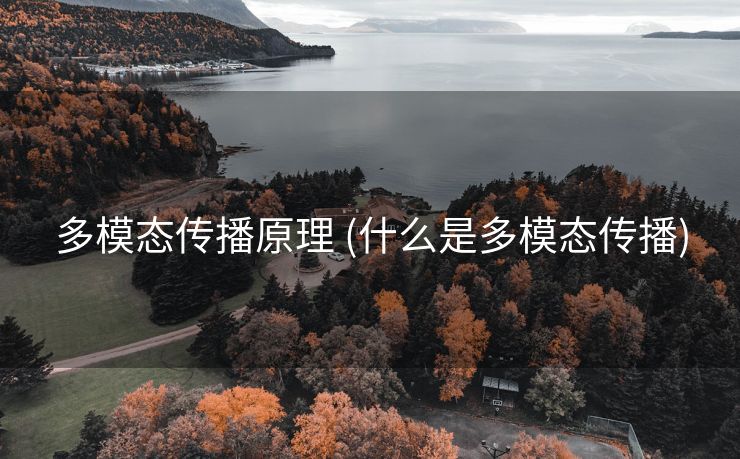 多模态传播原理 (什么是多模态传播)