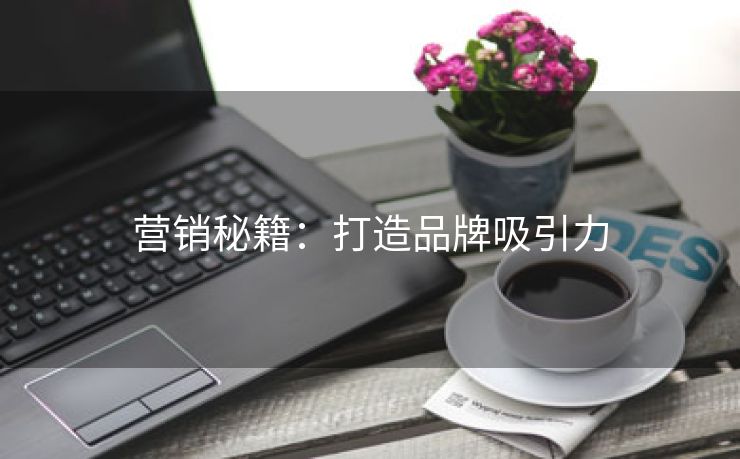 营销秘籍：打造品牌吸引力