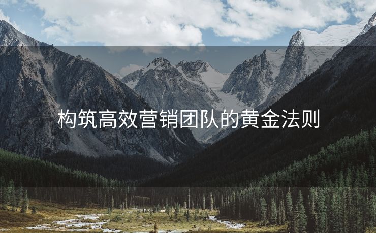 构筑高效营销团队的黄金法则