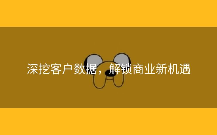 深挖客户数据，解锁商业新机遇