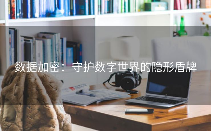 数据加密：守护数字世界的隐形盾牌