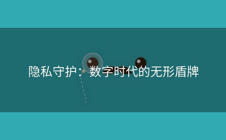 隐私守护：数字时代的无形盾牌