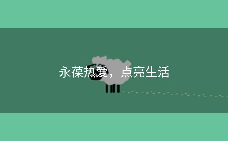 永葆热爱，点亮生活