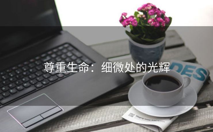 尊重生命：细微处的光辉