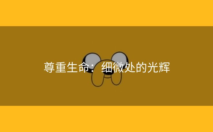 尊重生命：细微处的光辉