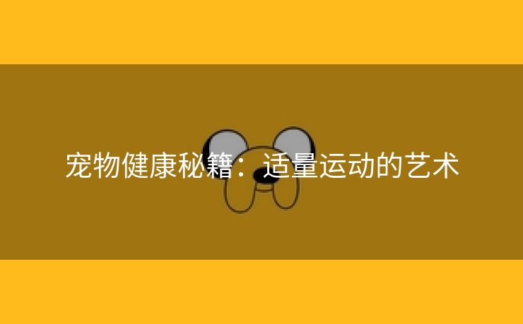 宠物健康秘籍：适量运动的艺术