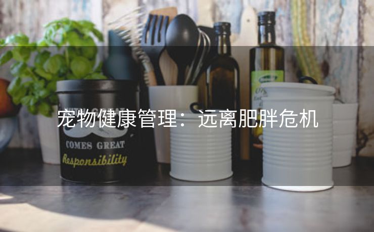 宠物健康管理：远离肥胖危机