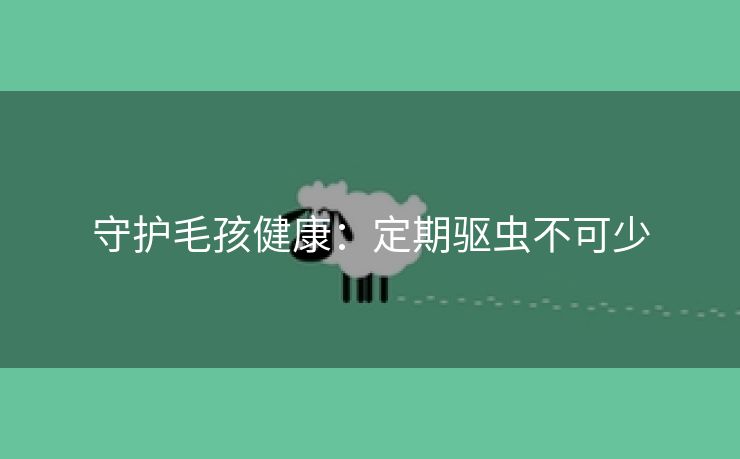 守护毛孩健康：定期驱虫不可少