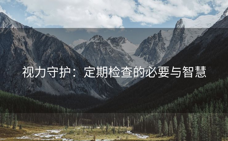 视力守护：定期检查的必要与智慧
