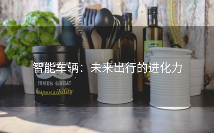 智能车辆：未来出行的进化力