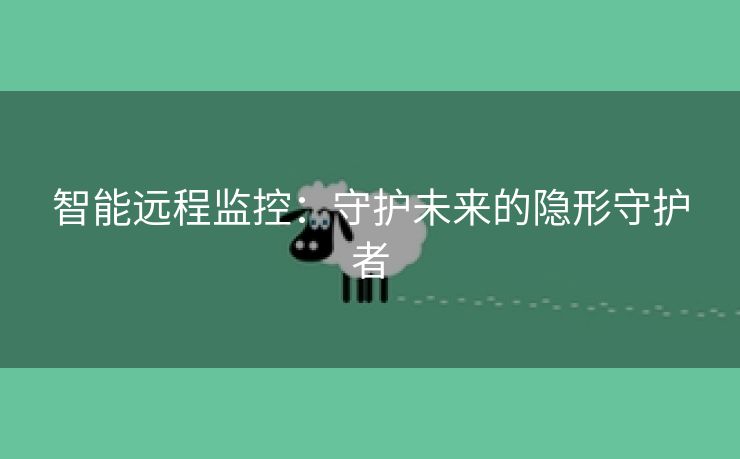 智能远程监控：守护未来的隐形守护者