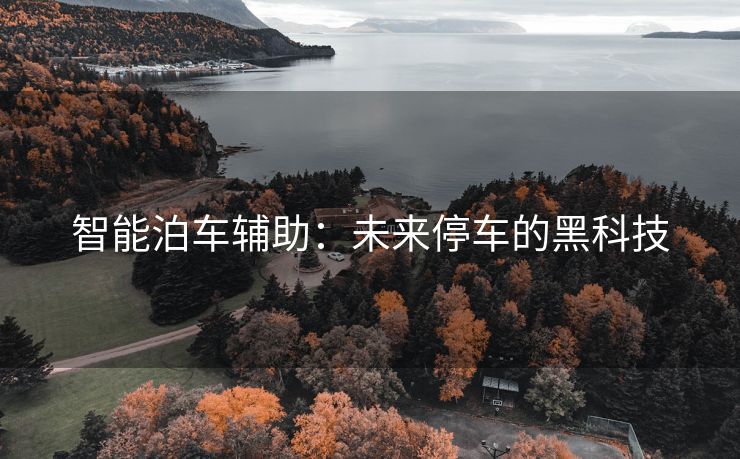 智能泊车辅助：未来停车的黑科技