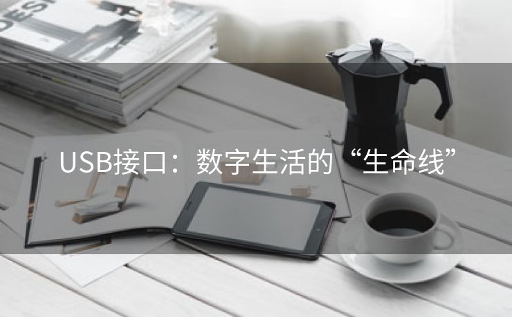 USB接口：数字生活的“生命线”
