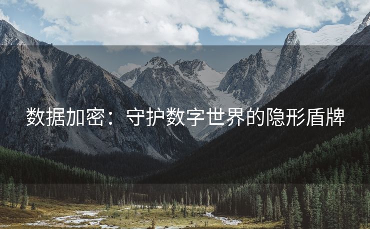 数据加密：守护数字世界的隐形盾牌