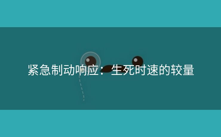 紧急制动响应：生死时速的较量