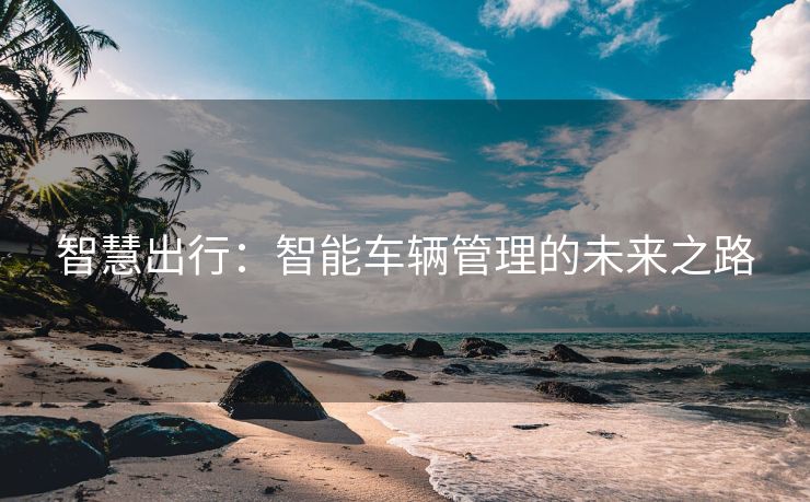 智慧出行：智能车辆管理的未来之路