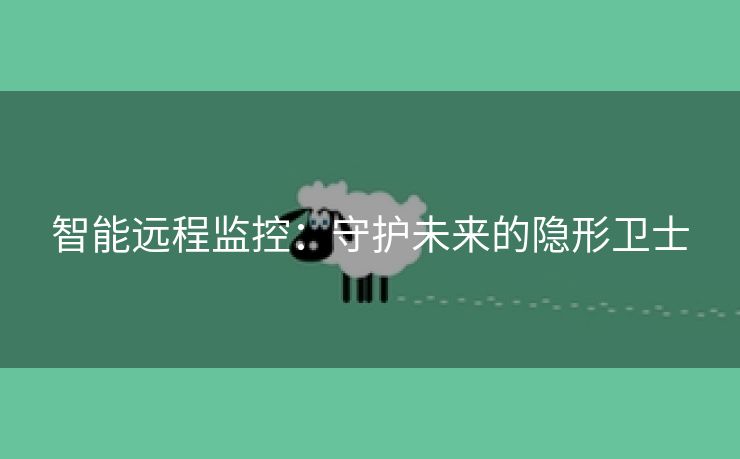 智能远程监控：守护未来的隐形卫士