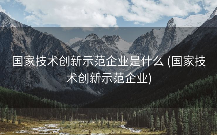 国家技术创新示范企业是什么 (国家技术创新示范企业)