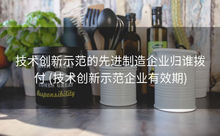 技术创新示范的先进制造企业归谁拨付 (技术创新示范企业有效期)