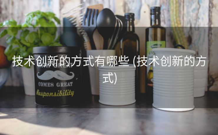 技术创新的方式有哪些 (技术创新的方式)