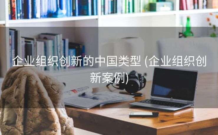 企业组织创新的中国类型 (企业组织创新案例)
