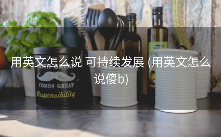 用英文怎么说 可持续发展 (用英文怎么说傻b)