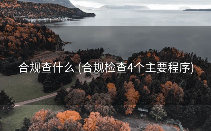 合规查什么 (合规检查4个主要程序)
