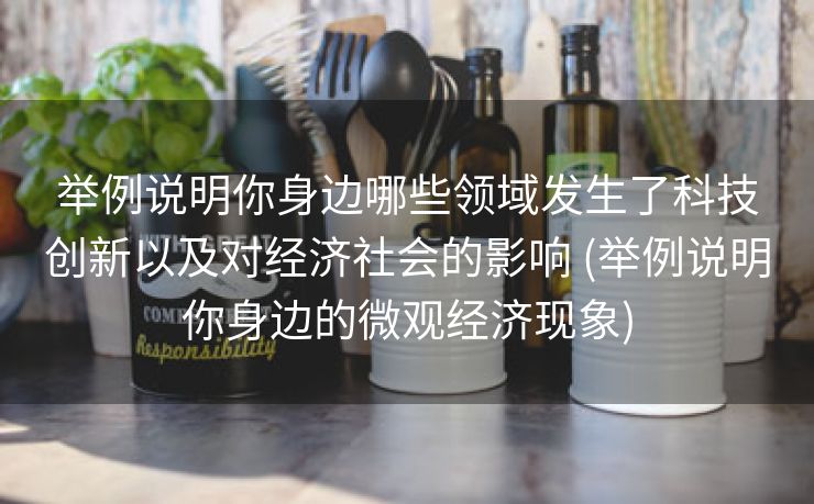 举例说明你身边哪些领域发生了科技创新以及对经济社会的影响 (举例说明你身边的微观经济现象)